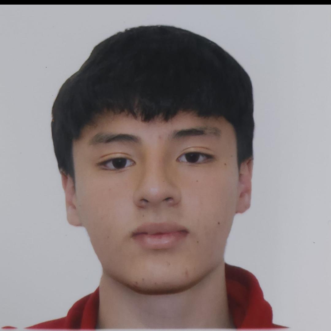 User Image