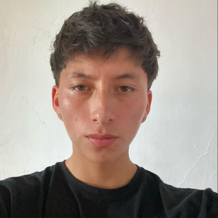User Image