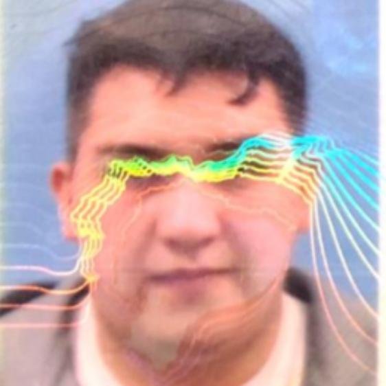 User Image