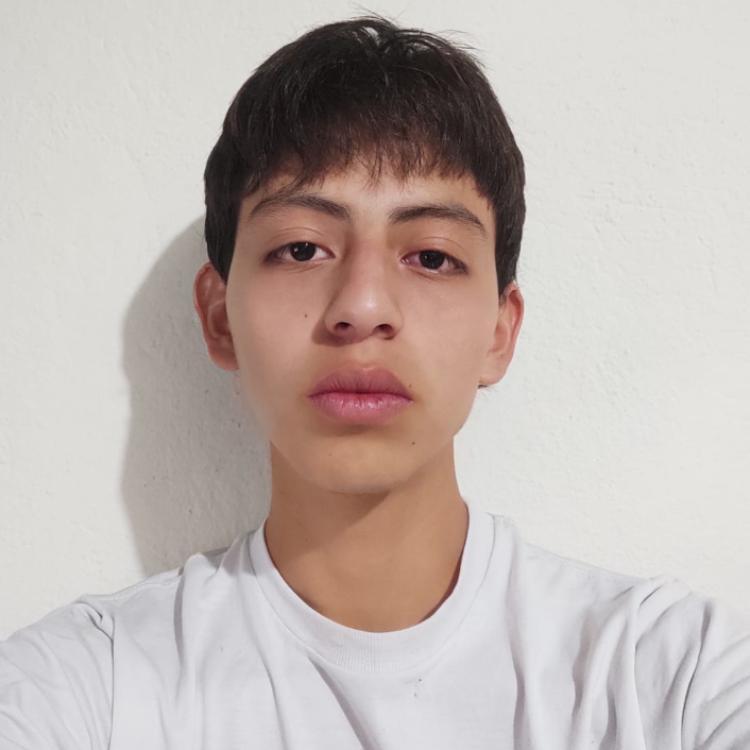 User Image