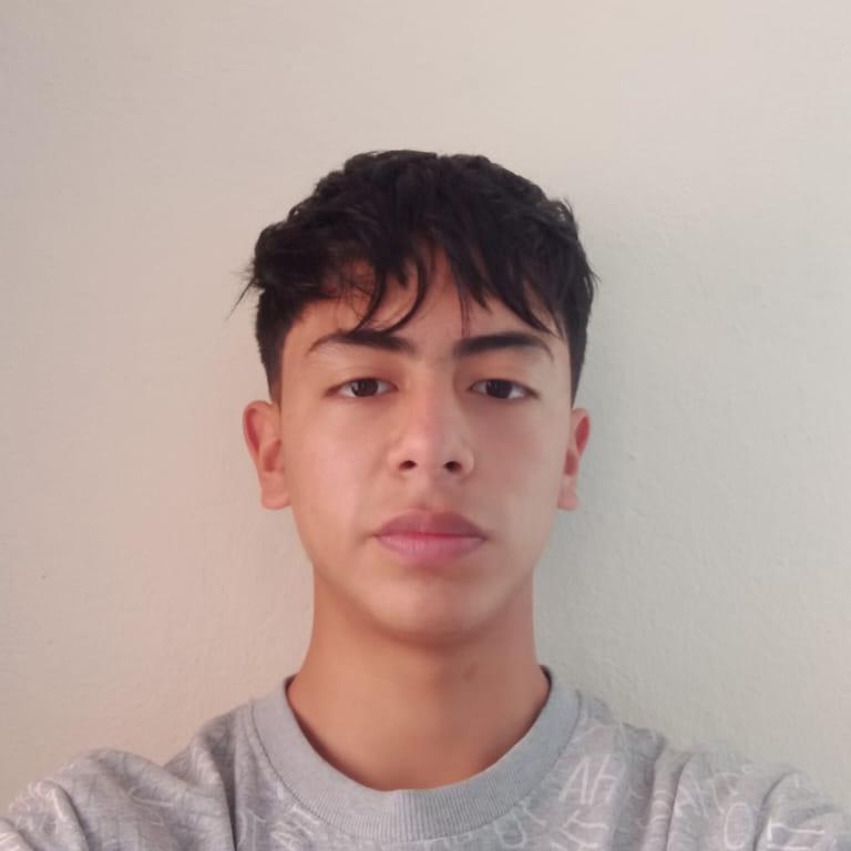 User Image