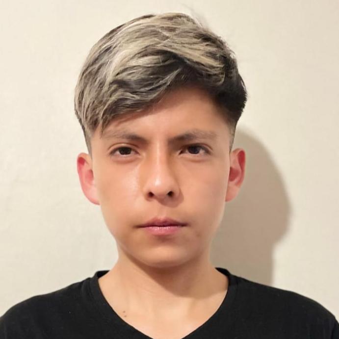 User Image